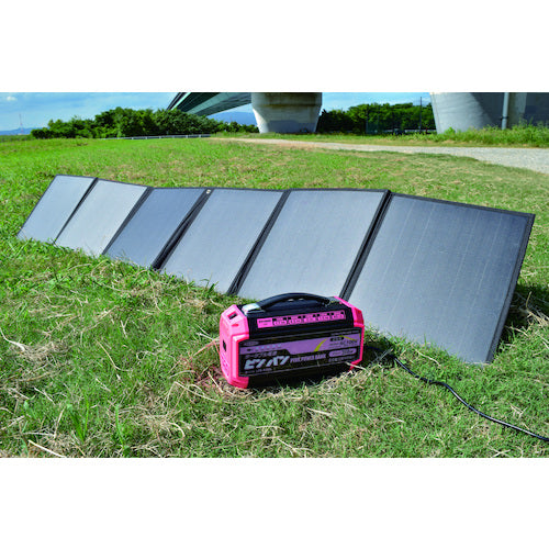 日動 ポータブル電源 ピンバン