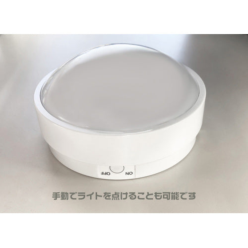 リーベックス 人感センサー受信LEDライトセット