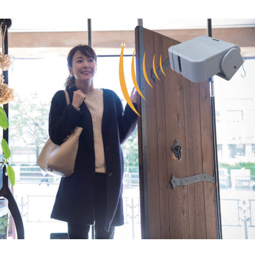 リーベックス 人感センサー受信LEDライトセット