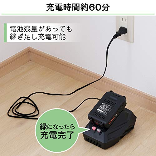 IRIS 572495 充電式リチウムイオン二次電池 DBL1820