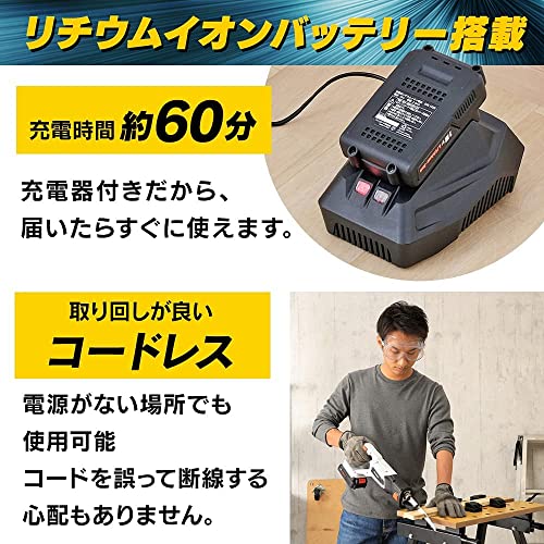 IRIS 572659充電式レシプロソー