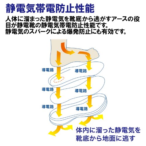 ミドリ安全 静電耐滑ワイド樹脂先芯スニーカーネイビー