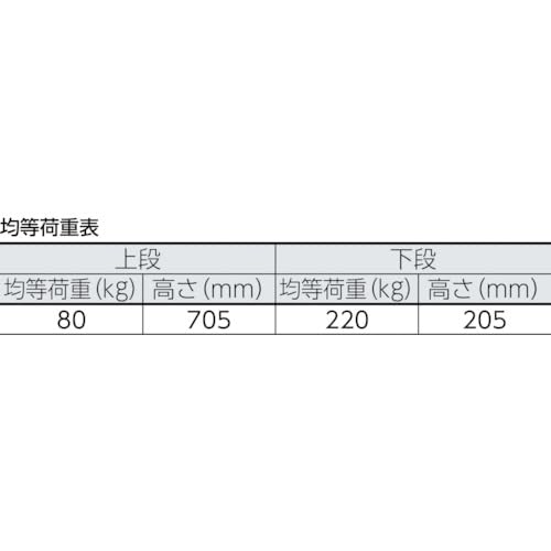 TRUSCO プレス製運搬車 台車 ドンキーカート 固定式簡易2段 915×615