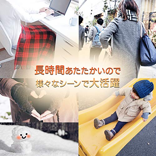 IRIS 206039 ほんわか低温カイロミニ 10個入り