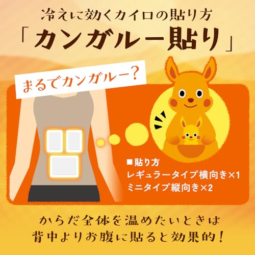 IRIS 206039 ほんわか低温カイロミニ 10個入り