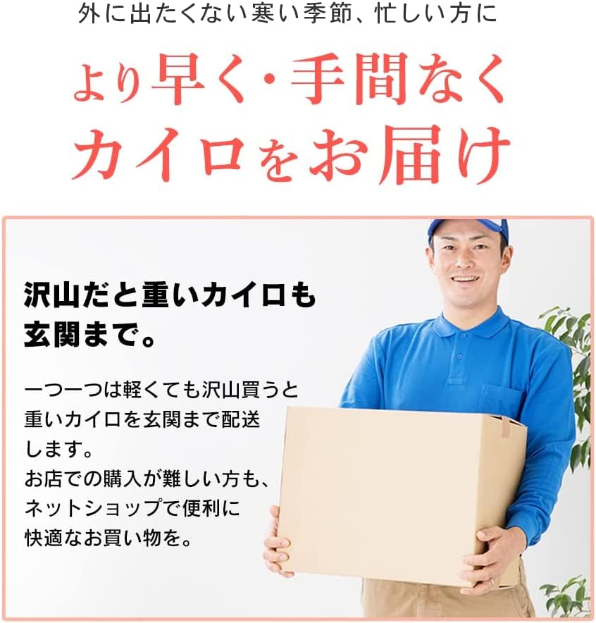 IRIS 206036 ほんわか低温カイロレギュラー30個入り