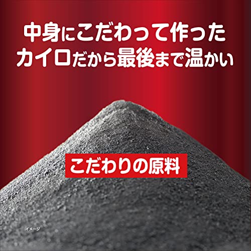 小林製薬 桐灰はらない10個(カイロ)