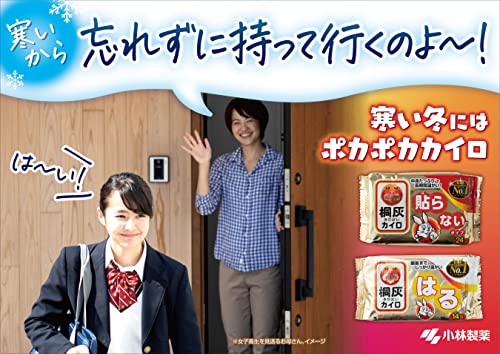小林製薬 桐灰はらない10個(カイロ)