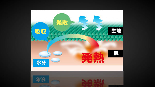 おたふく BTサーモタイツ M