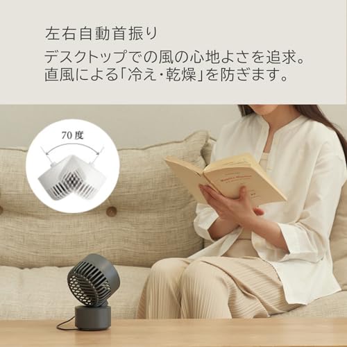 RHYTHM 卓上扇風機 静音 小型 USB給電式 自動首振り 強力 DCモーター 2重反転ファン デスクファン お手入れ簡単 Silky Wind Mini ダークグレー