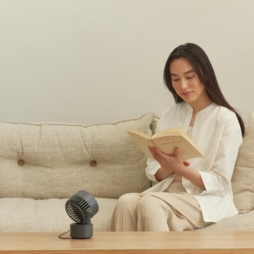 RHYTHM 卓上扇風機 静音 小型 USB給電式 自動首振り 強力 DCモーター 2重反転ファン デスクファン お手入れ簡単 Silky Wind Mini ダークグレー