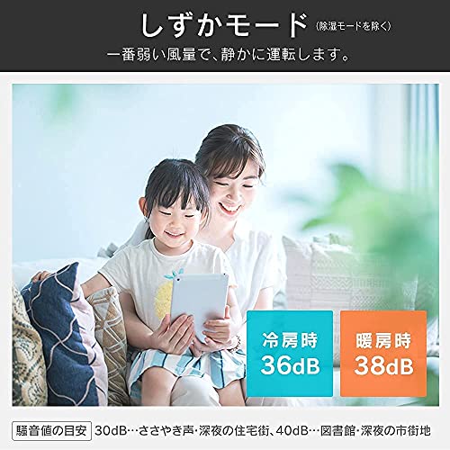 IRIS 518282 内部清潔エアコン 4.0kW