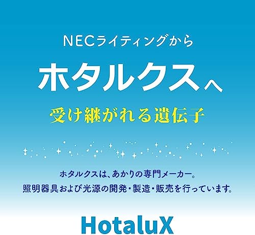 ホタルクス 光触媒除菌脱臭機 HotaluX AIR ホワイト