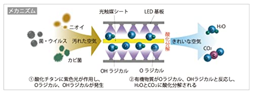 ホタルクス 光触媒除菌脱臭機 HotaluX AIR ホワイト