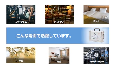 サニティーシステム オゾン除菌消臭器 SANY CAR