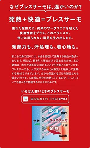 ミズノ タフブレーカー中綿パンツ アロイグレー M