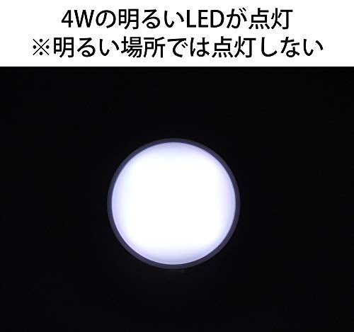 リーベックス マルピカ SLK400