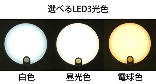 リーベックス カベピカ SLK800