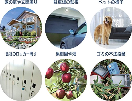 リーベックス 液晶画面付センサーカメラ SD3000