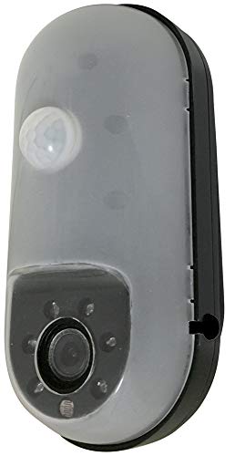 リーベックス SDカード録画式センサーカメラ SD1000