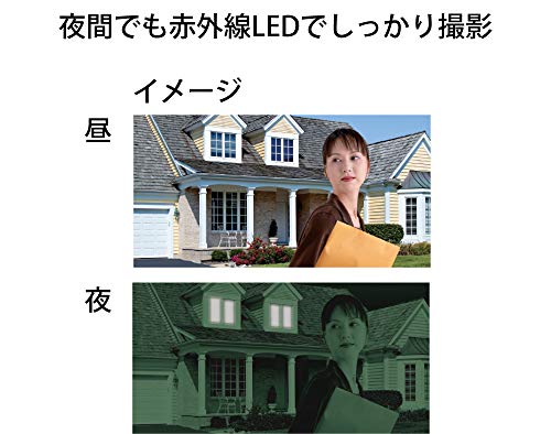 リーベックス SDカード録画式センサーカメラ SD1000