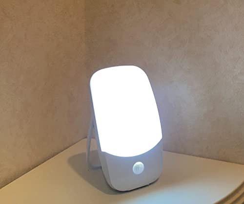 リーベックス LEDセンサーライト スタンド・マグネットタイプ SL108