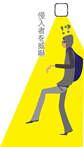 リーベックス カクピカ SLK500