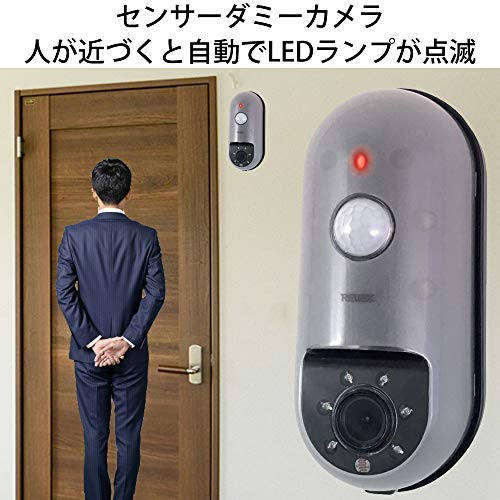 リーベックス センサーダミーカメラ SD−DM1