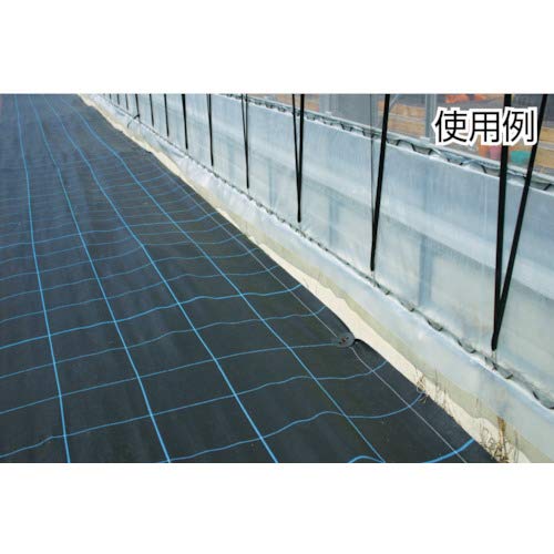 ワイドクロス 防草シ-ト BG1515-2X100 グリーン