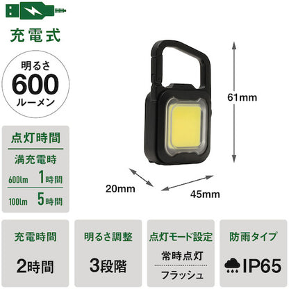 ムサシ 充電式スーパーフラッシュライト6W