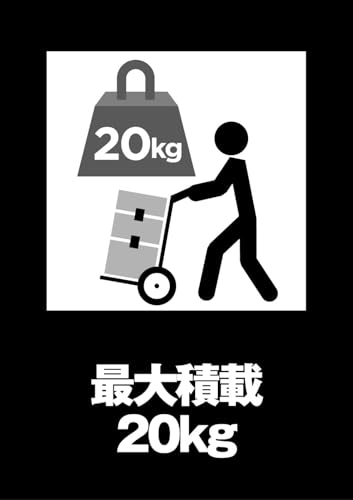 DEWALT TSTAK2.0オーガナイザー