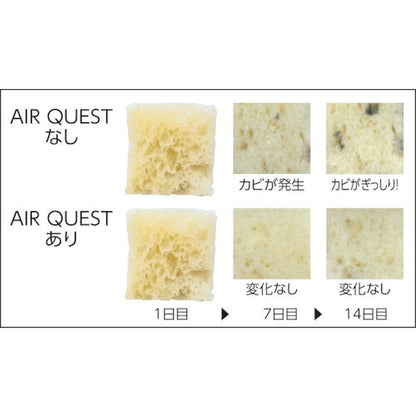 DAIAN エアークエストEX 57×57 2枚入