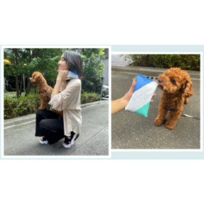 アイ･ティ･イー アイスバッテリーフレッシュAVA(保冷ポーチ付キ)