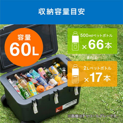 IRIS 201282 HUGEL 真空断熱クーラーボックス ホワイトアッシュ