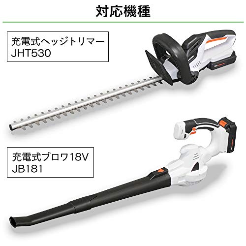 IRIS 572495 充電式リチウムイオン二次電池 DBL1820