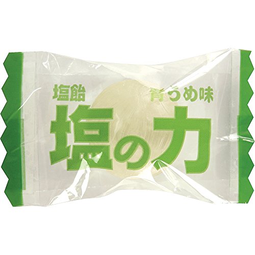 ＴＲＵＳＣＯ　【※軽税】塩飴　塩の力　７５０ｇ　青梅味　ボトルタイプ