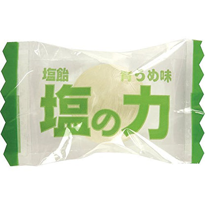 ＴＲＵＳＣＯ　【※軽税】塩飴　塩の力　７５０ｇ　青梅味　ボトルタイプ