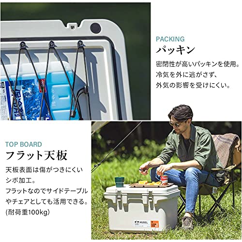 IRIS 290517 HUGEL 真空断熱クーラーボックス 20L ホワイトアッシュ