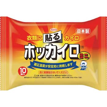 興和 貼るホッカイロミニ （10枚入）
