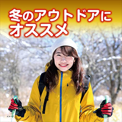 小林製薬 桐灰はらない10個（カイロ）