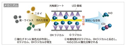 ホタルクス 光触媒除菌脱臭機 HotaluX AIR ホワイト