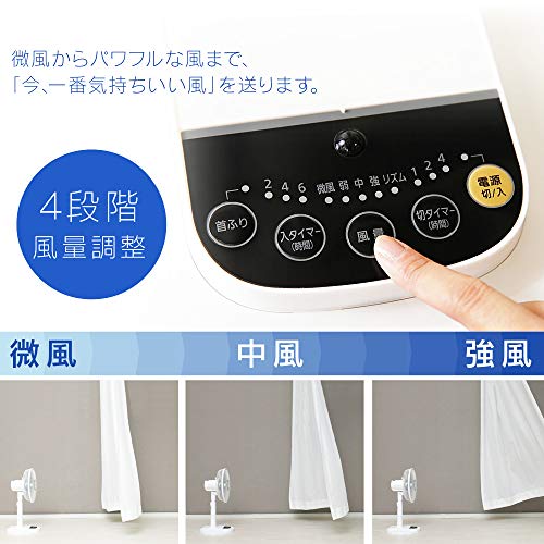 IRIS 509296 リモコン式リビング扇 （DCモーター式）