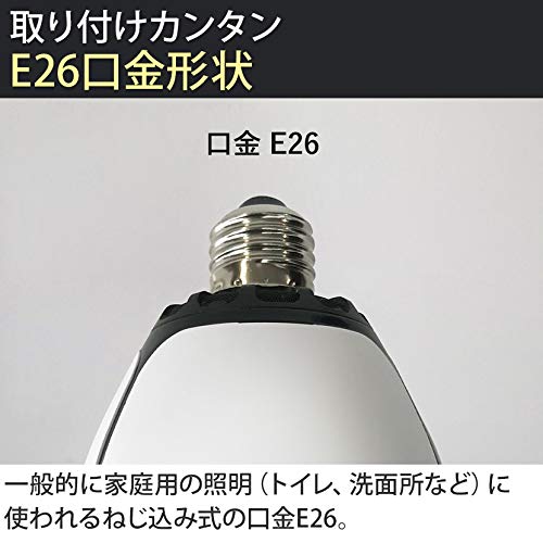 Kaltech 脱臭LED電球ターンドケイ（電球色）