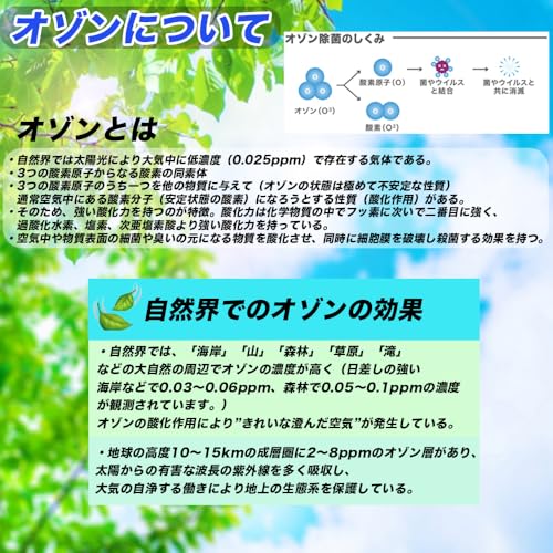 サニティーシステム オゾン除菌消臭器 SANY CAR