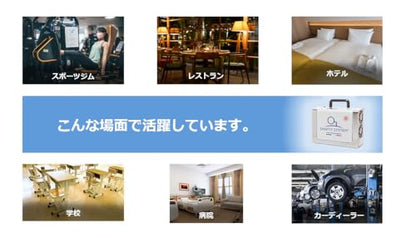 サニティーシステム オゾン除菌消臭器 SANY CAR